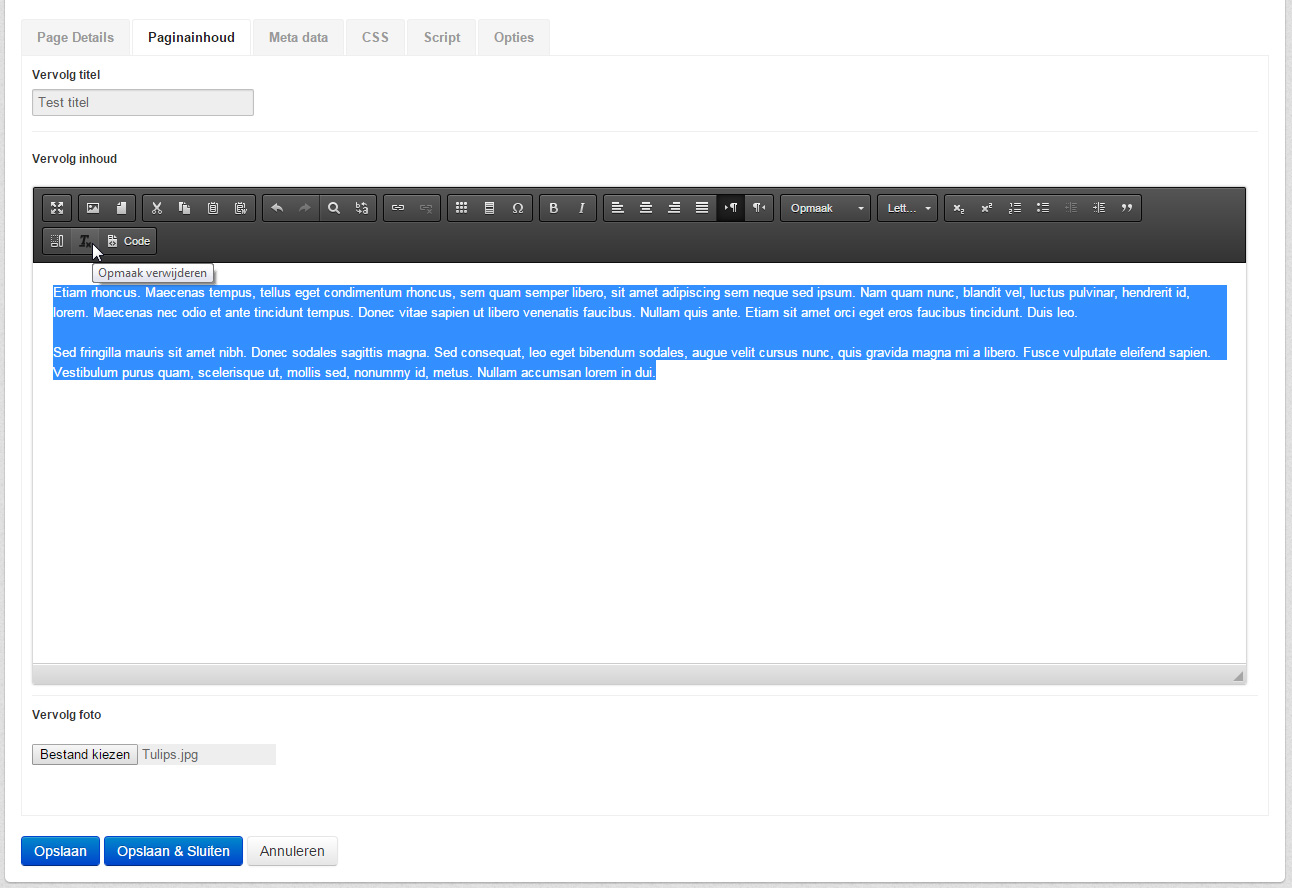 paginas7